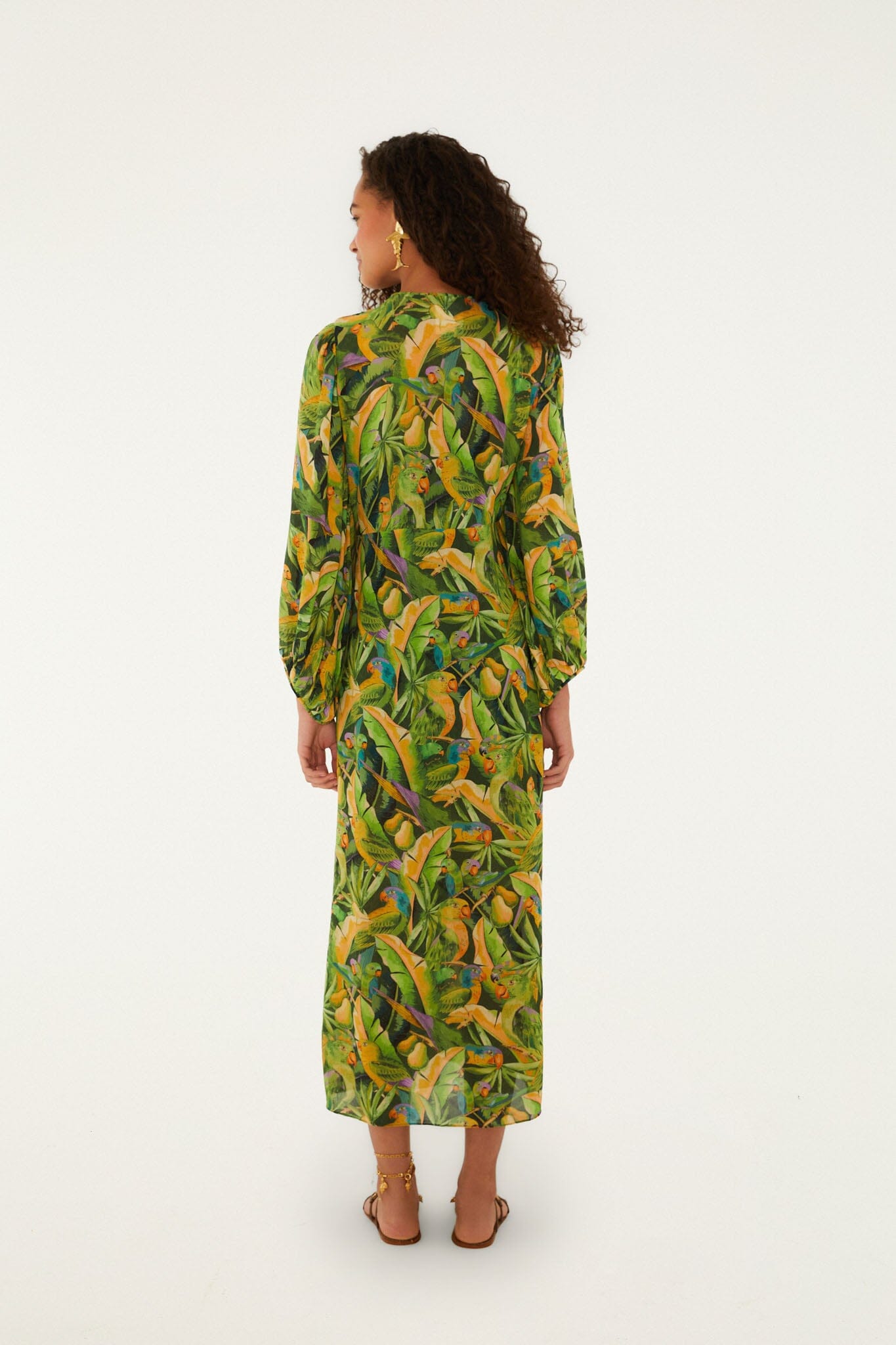 FARM Rio Shop Forest Green Parrots Long Sleeve Dress