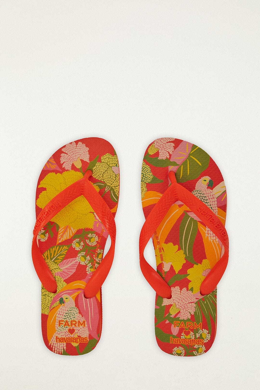 FARM Rio Shop Farm Neon Flor Havaianas Sandals